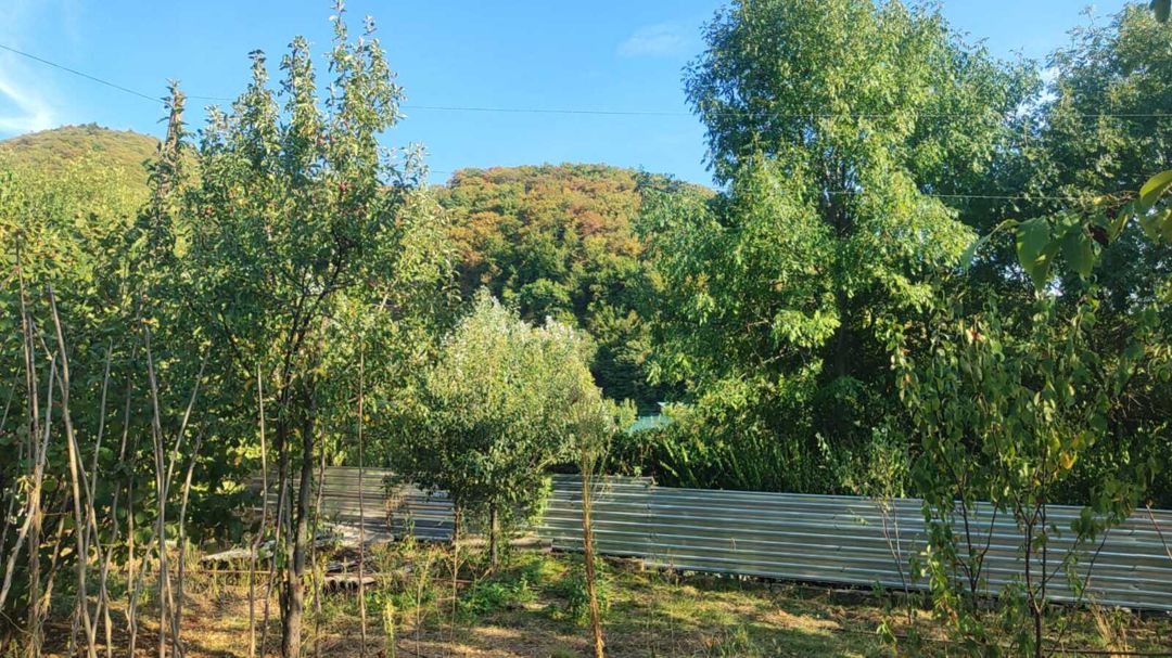Satılır torpaq 5 sot — Torpaq, İsmayıllı (7)