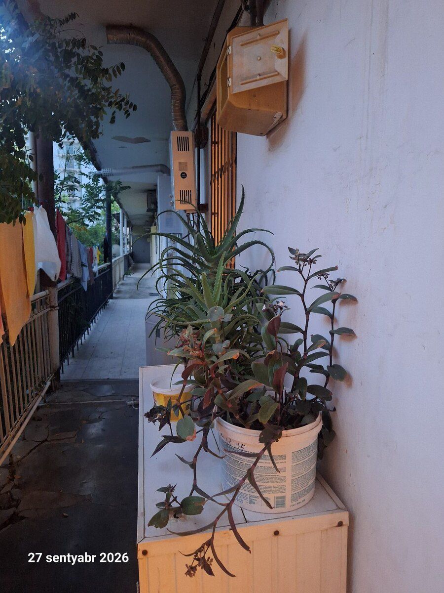 2-otaqlı mənzil kirayə verilir, Ə.Əlizadə küç., 50 m² — Mənzil, Bakı (2)