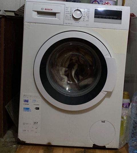 Paltaryuyan maşın Bosch, 8 kq, Təmirə ehtiyacı var, Avtomat, Qurutmasız, Ünvandan götürmə — Biləsuvar