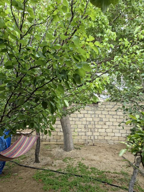 İcarəyə verilir 4 otaqlı həyət evi/bağ evi 100 m² — Bakı