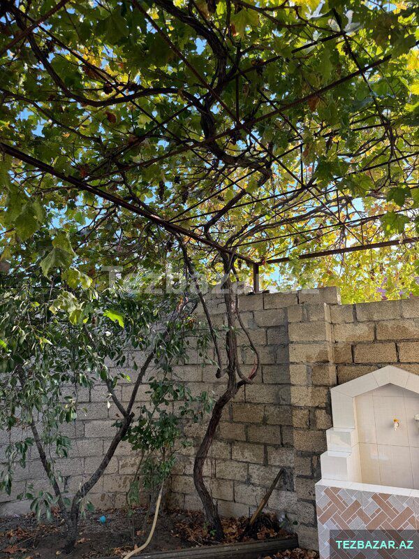2 mərtəbəli həyət evi kiraye — Ev, villa, Sumqayıt (2)