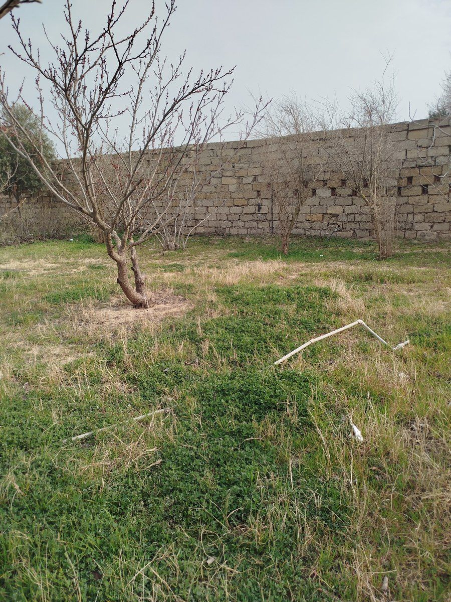 Satılır torpaq 5.5 sot — Torpaq, Bakı (3)