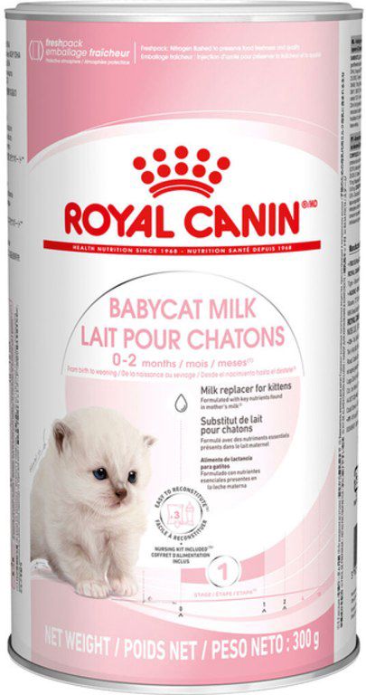 "Royal Canin" bala pişik üçün quru süd — Bakı