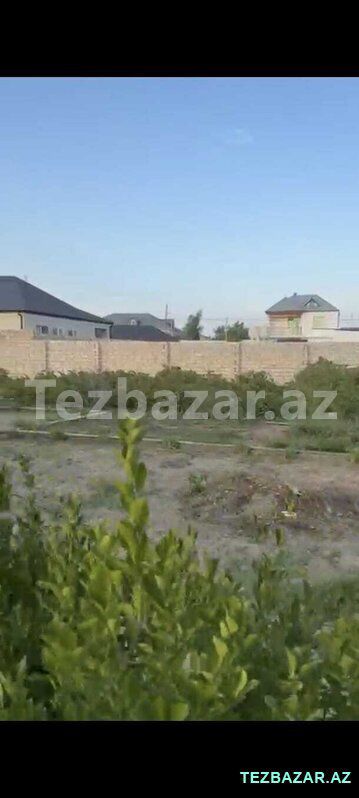 Albalılıqda həyət evi satılırrr — Ev, villa, Bakı (5)