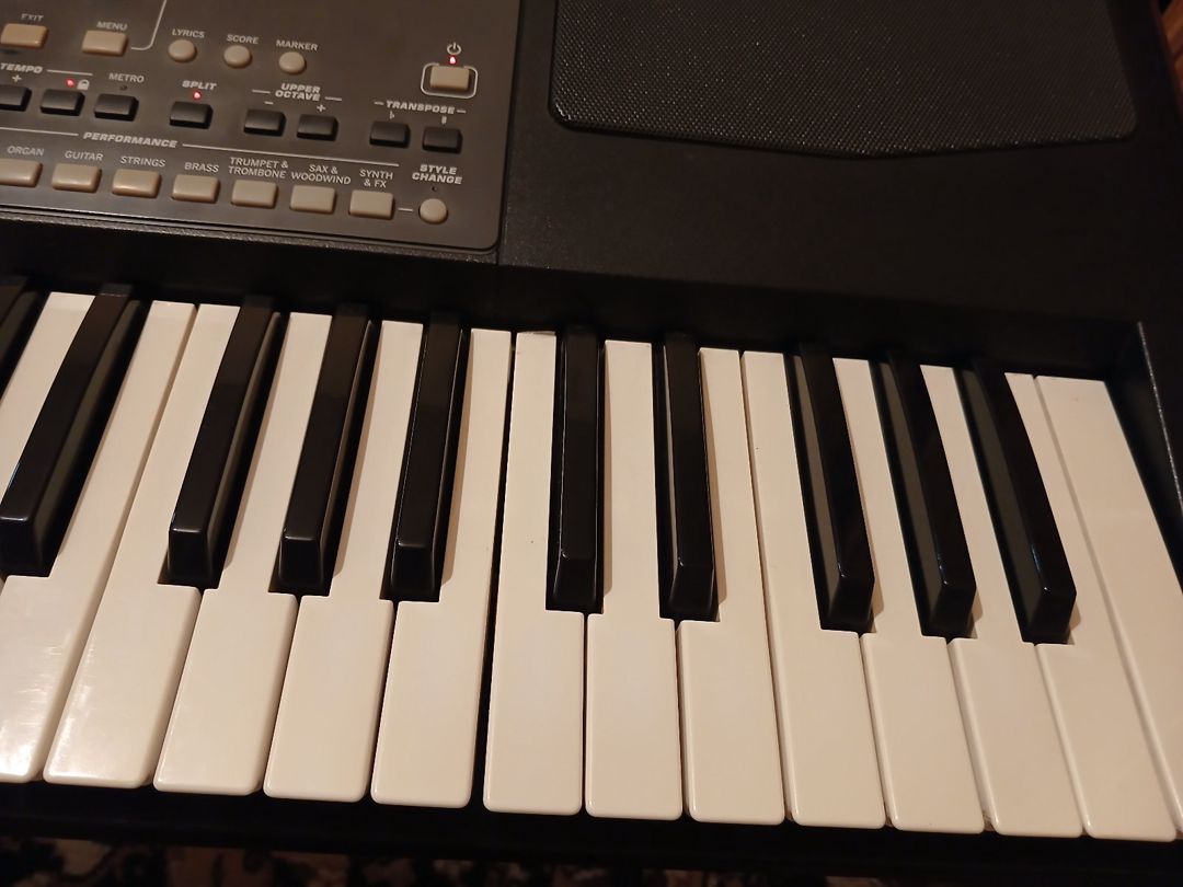 Sintezator Korg Pa 600 — Musiqiə alətləri, Sumqayıt (10)