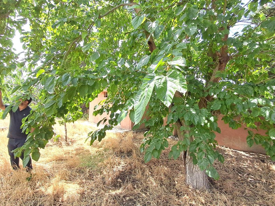 Satılır 7 otaqlı həyət evi/bağ evi 140 m² — Ev, villa, Bakı (5)