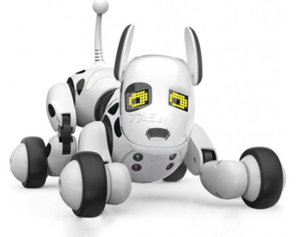 Oyuncaq robotlar — Oyuncaqlar, Bakı (3)