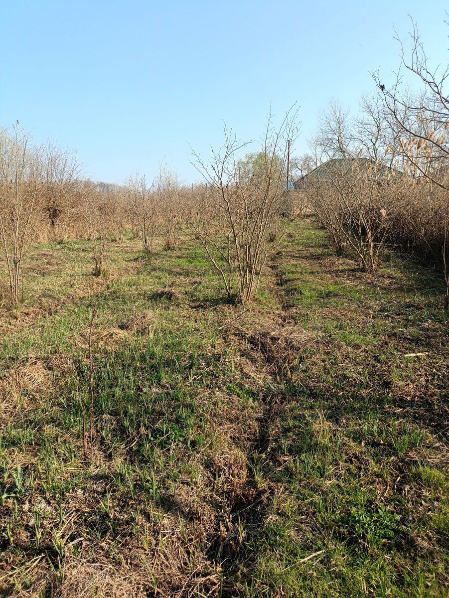 9 sot torpaq sahəsi, Xaçmaz r — Torpaq, Xaçmaz (6)