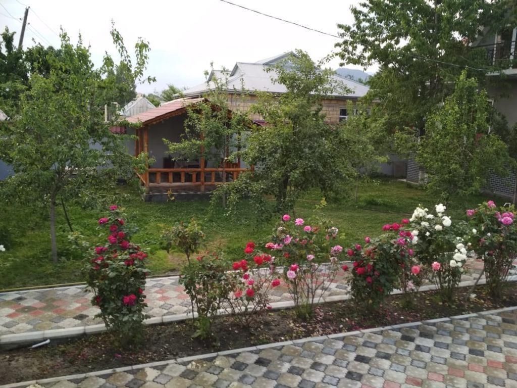 Villa kirayə verilir, Qəbələ r — Ev, villa, Qəbələ (4)