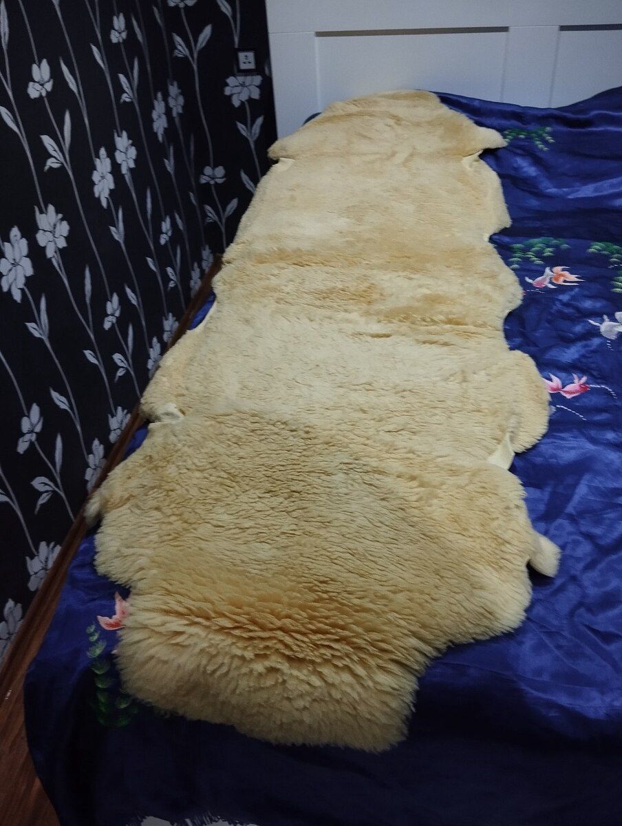 Merinos dərisi — Tekstil, Bakı (2)