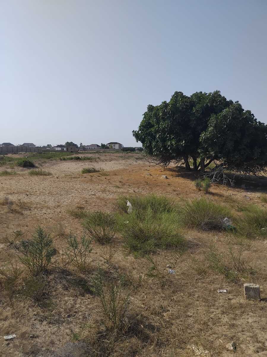 60 sot torpaq sahəsi, Zirə qəs — Torpaq, Bakı (2)