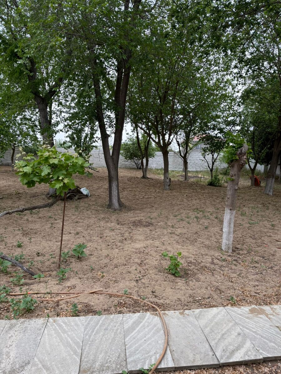 Satılır torpaq 6 sot — Torpaq, Bakı (3)