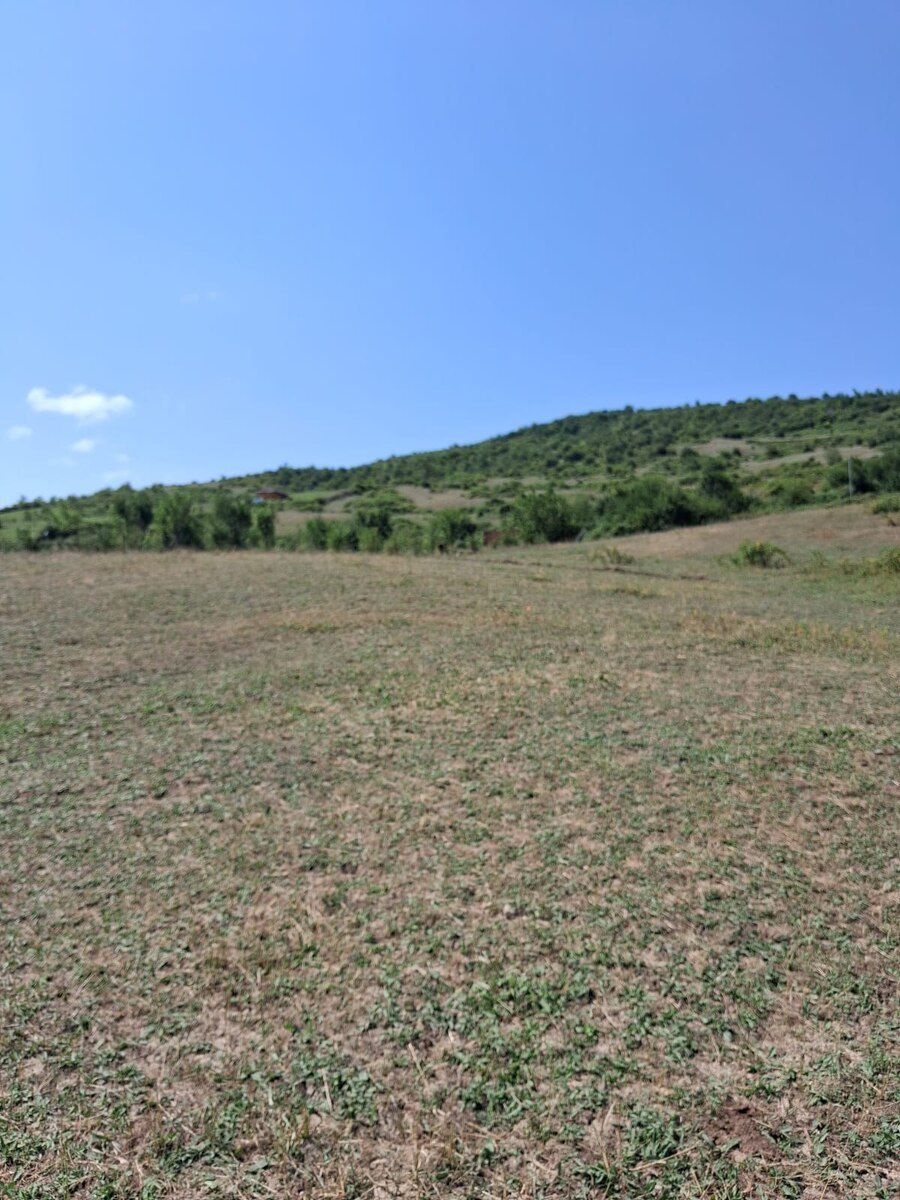 100 sot torpaq sahəsi, Quba ray — Torpaq, Quba (6)