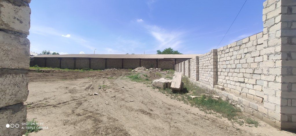 2400 sot torpaq sahəsi, Sadıllı qəs — Torpaq, Gəncə (7)