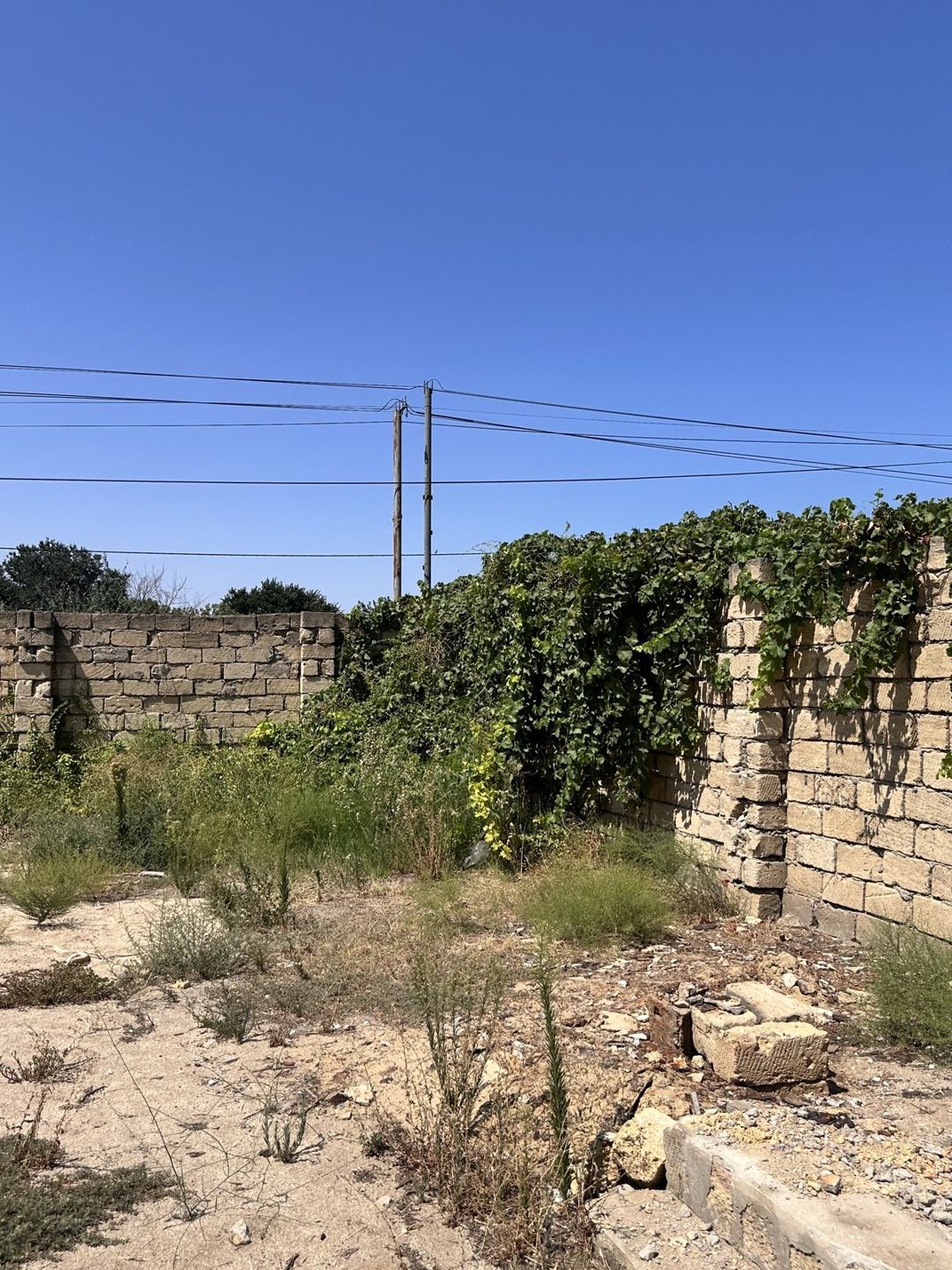 Satılır torpaq 7 sot — Torpaq, Bakı (6)