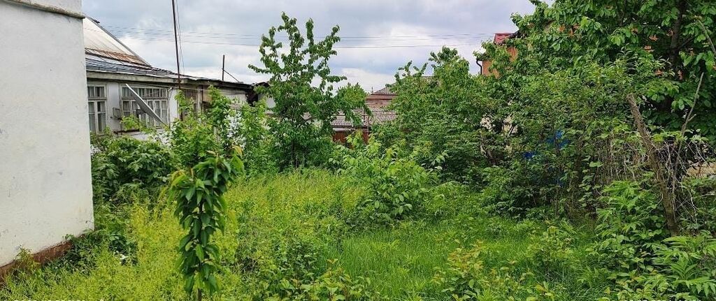 5 sot, Tikinti, Kupça (Çıxarış) — Torpaq, Quba