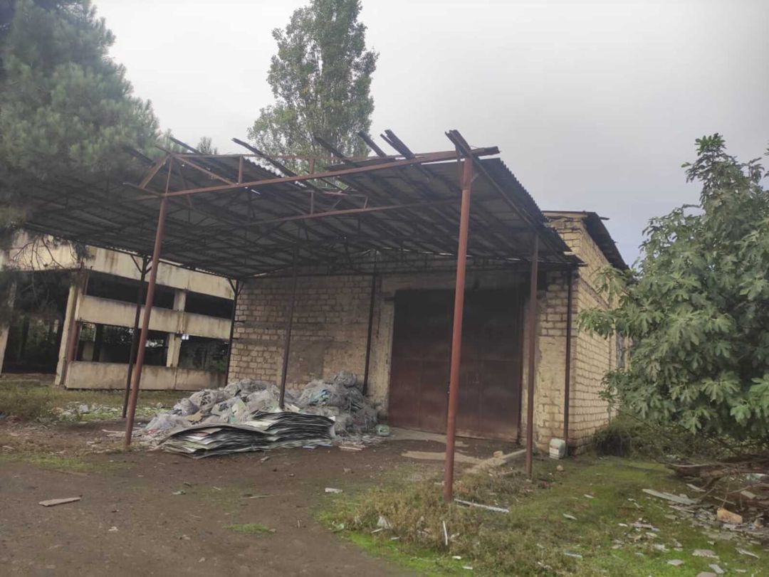 Satılır torpaq 137.9 sot — Torpaq, Masallı (3)