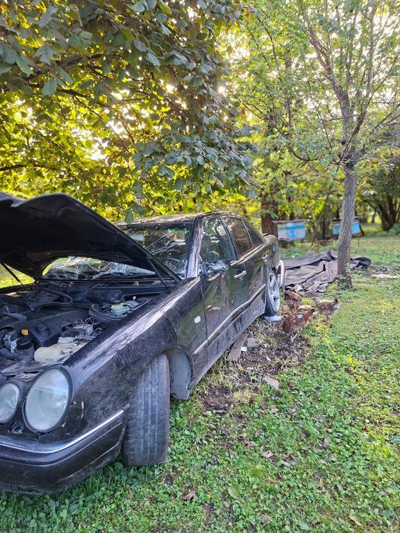 Mercedes E 280, 2.8 L, 1999 il, 450 000 km 10-VD-335 — Avtomobillər, Zaqatala (2)