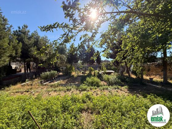 Satılır 7 sot torpaq Şağan — Torpaq (3)