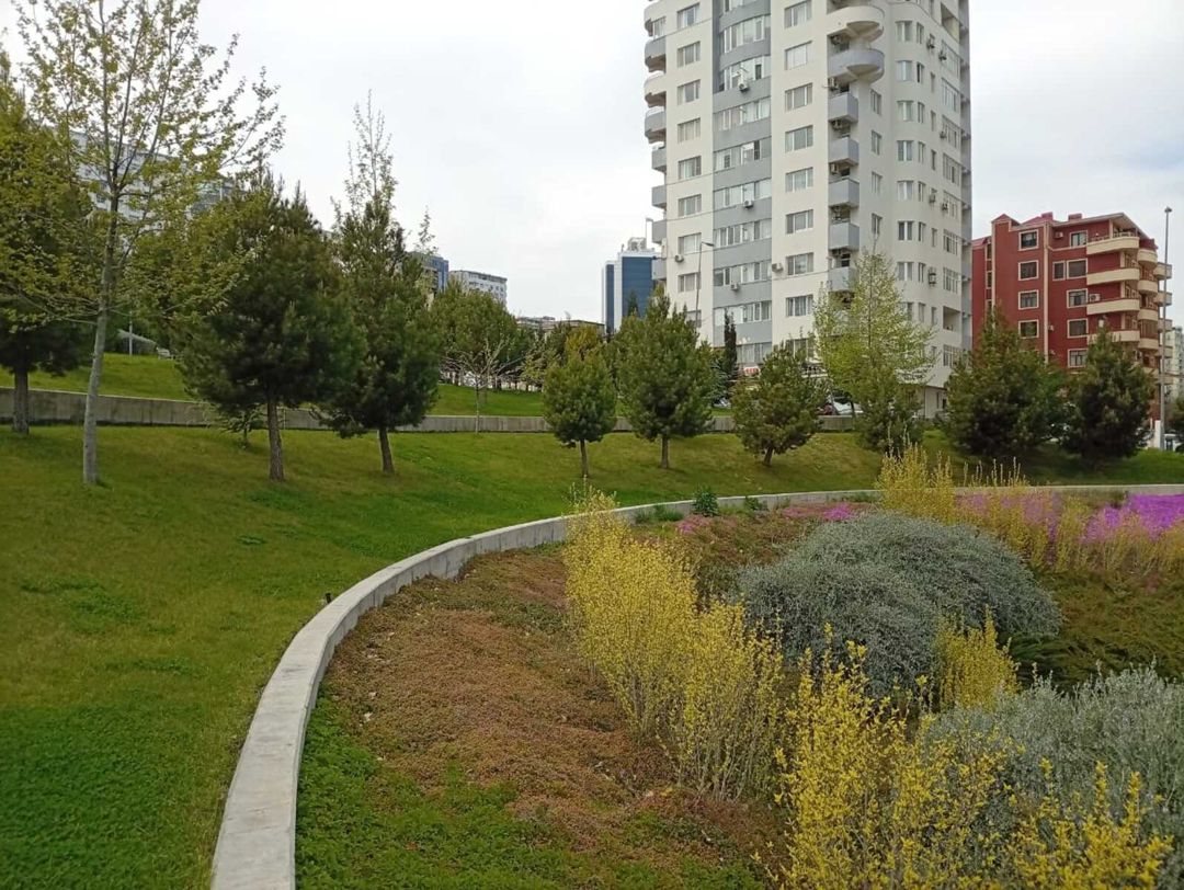 Satılır 2 otaqlı yeni tikili 65 m² — Mənzil, Bakı (3)