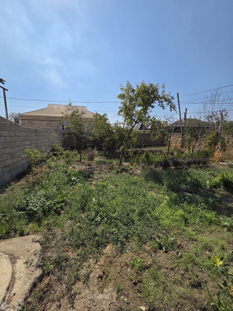 4 sot torpaq sahəsi, Şirvan r — Torpaq, Şirvan (4)