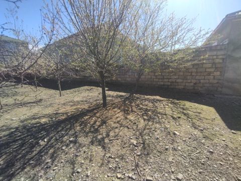 5 sot torpaq sahəsi, Qəbələ ş — Qəbələ