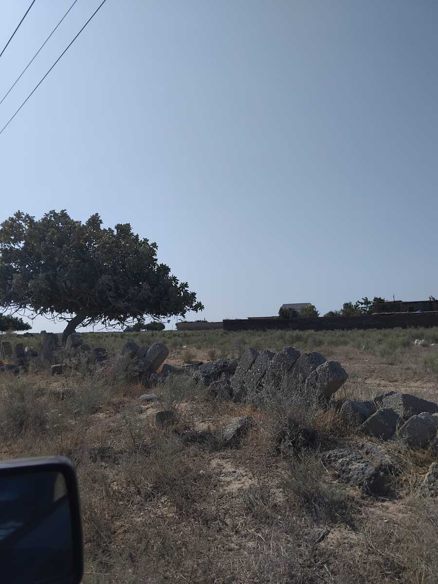 56 sot torpaq sahəsi, Türkan qəs — Torpaq, Bakı (4)