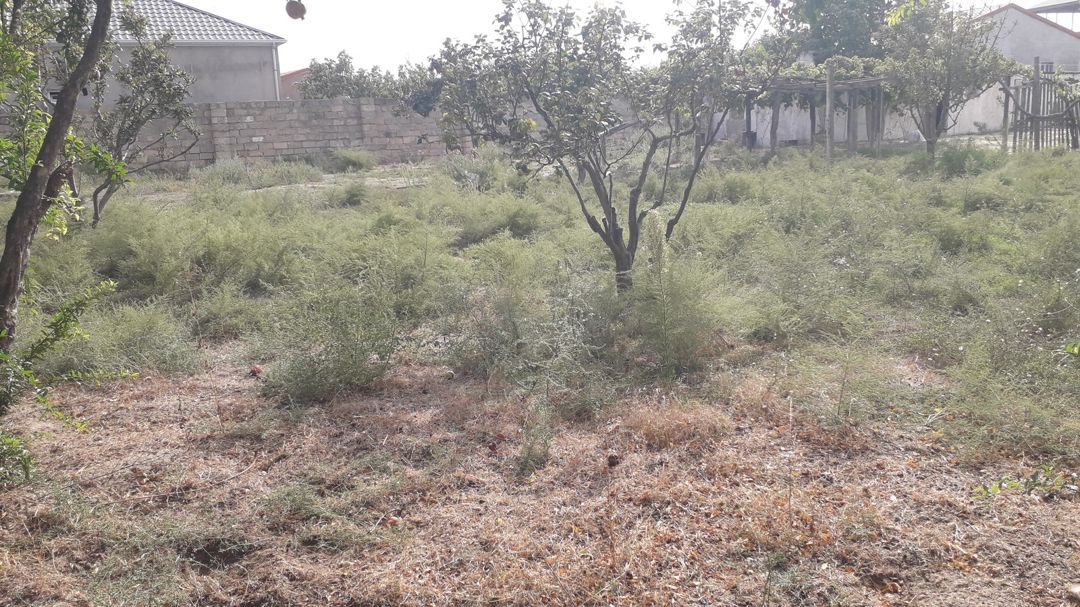 8 sot torpaq sahəsi, Pirşağı qəs — Torpaq, Bakı (4)
