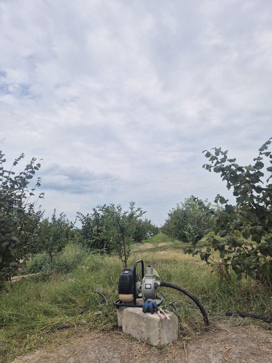 30 sot torpaq sahəsi, Xaçmaz r — Torpaq, Xaçmaz