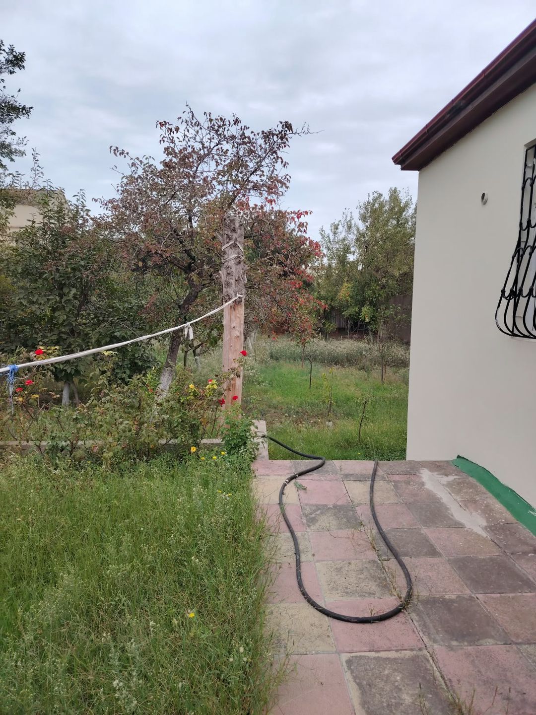 Satış: Torpaq, 15 sot, Xəzər rayonu — Torpaq, Bakı (7)