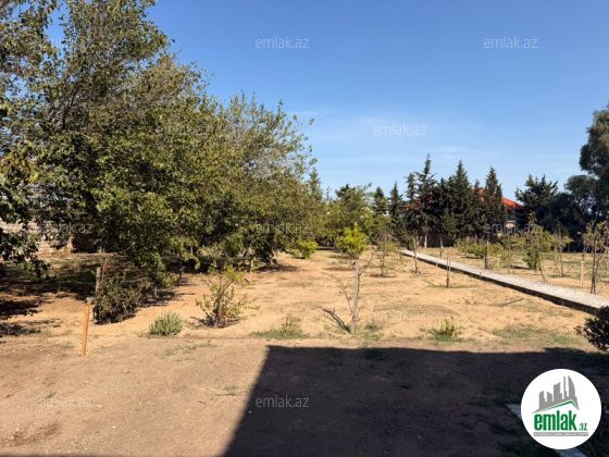 Satılır 11 sot torpaq Mərdəkan — Torpaq (7)