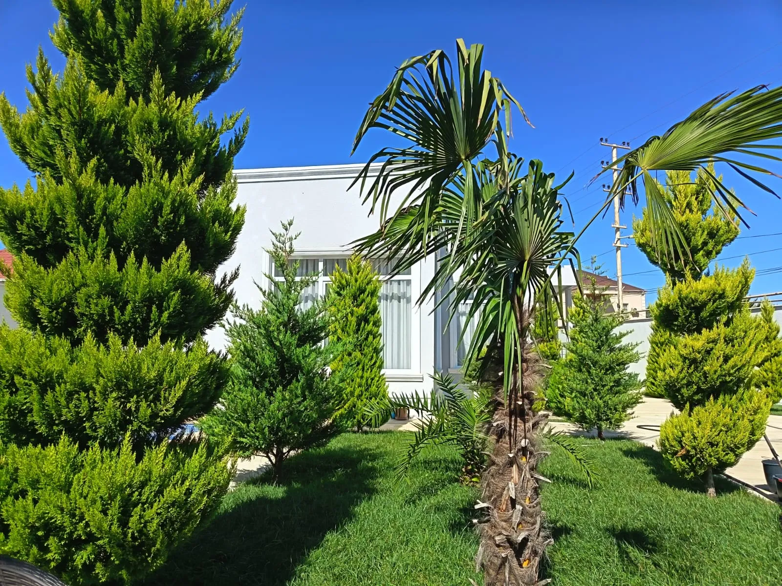 Şüvəlan, 4 otaqlı Həyət evi satılır - 170 m², 1 mərtəbə, 6 sot — Ev, villa, Bakı (4)