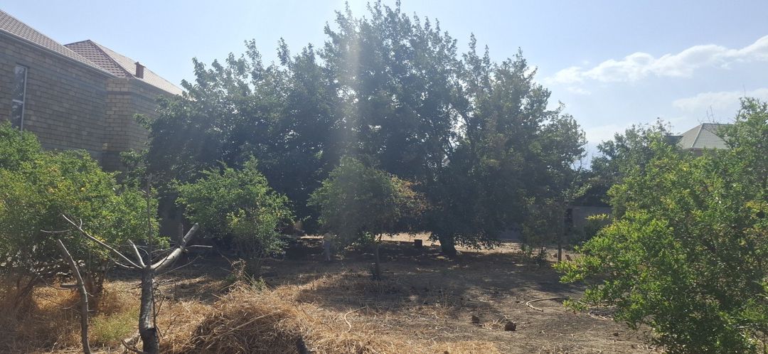 Satılır torpaq 10 sot — Torpaq, Bakı (2)