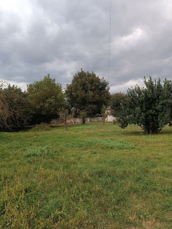 10 sot torpaq sahəsi, İsmayıllı r — Torpaq, İsmayıllı (6)