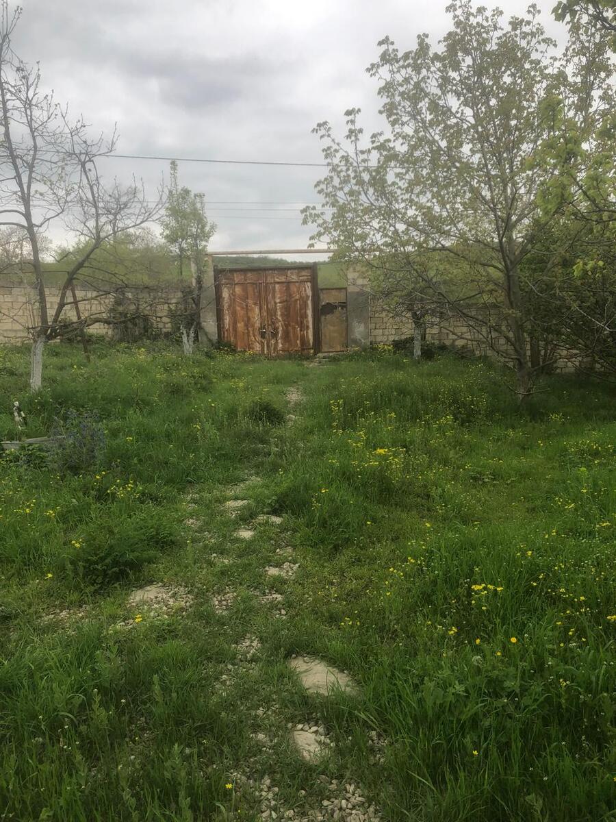 Həyət evi, Şabran r — Ev, villa, Şabran (8)