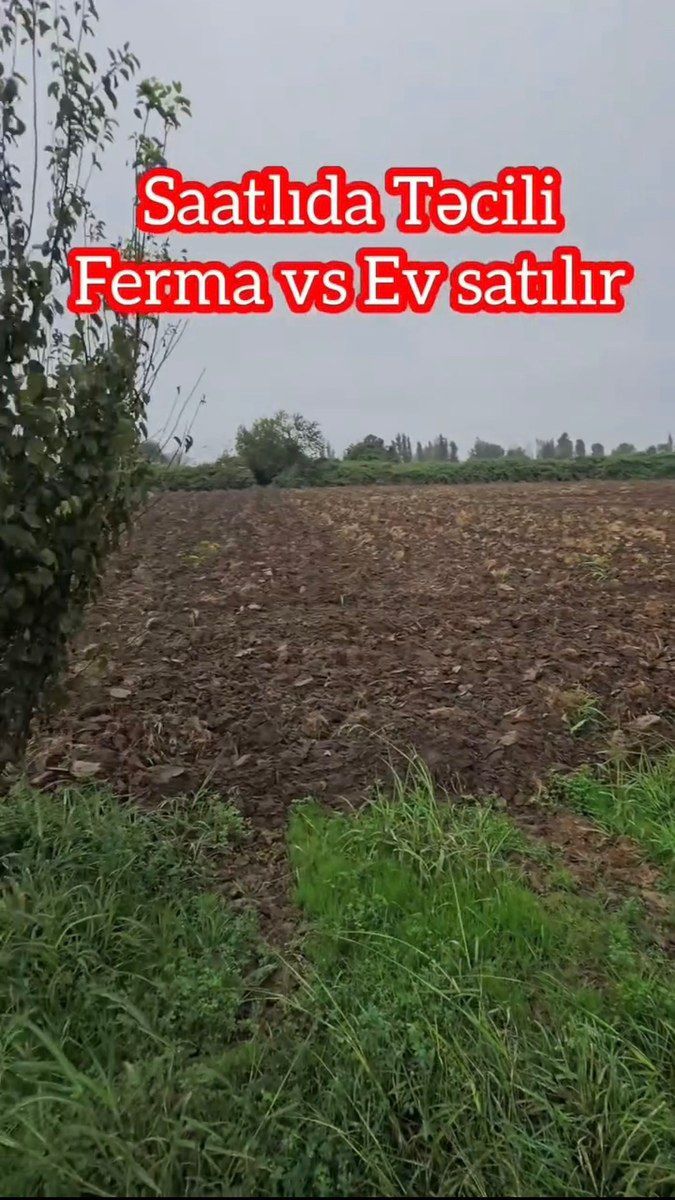 Həyət evi, Saatlı r — Ev, villa, Bakı (4)