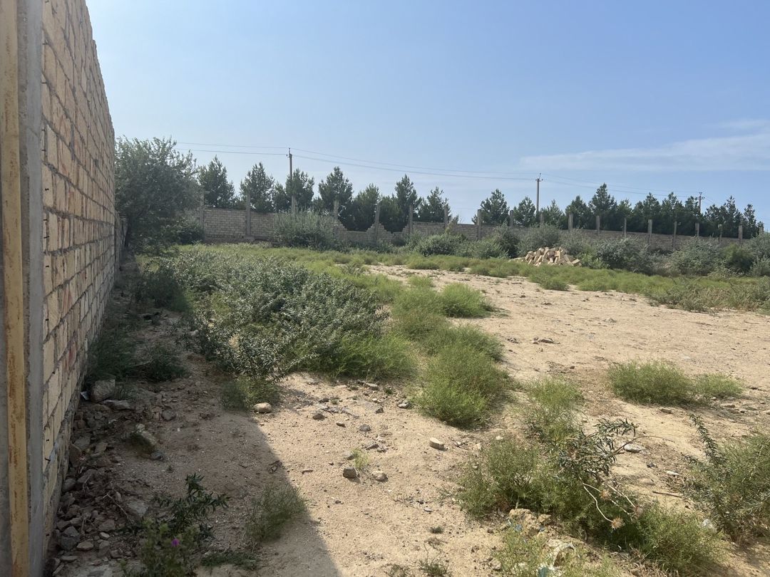 Satılır torpaq 12 sot — Torpaq, Bakı (5)