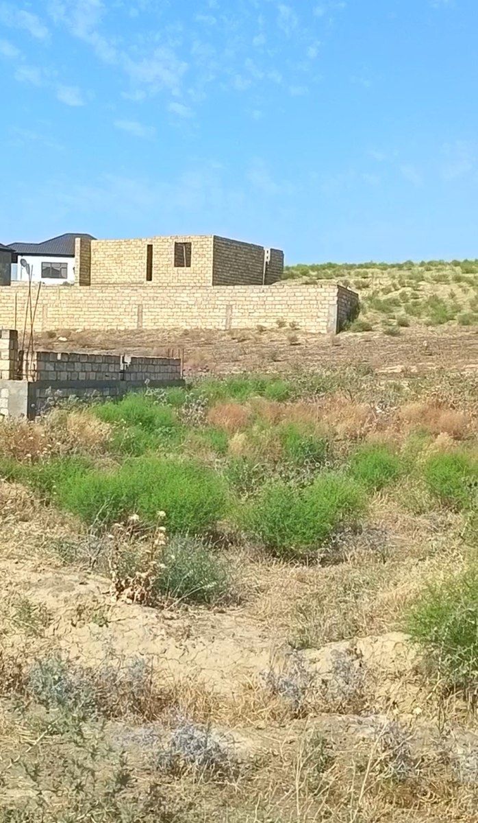 Satılır torpaq 600 sot — Torpaq, Bakı (3)