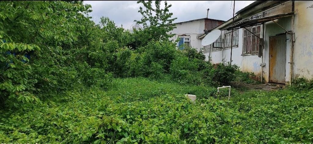 5 sot, Tikinti, Kupça (Çıxarış) — Torpaq, Quba (3)