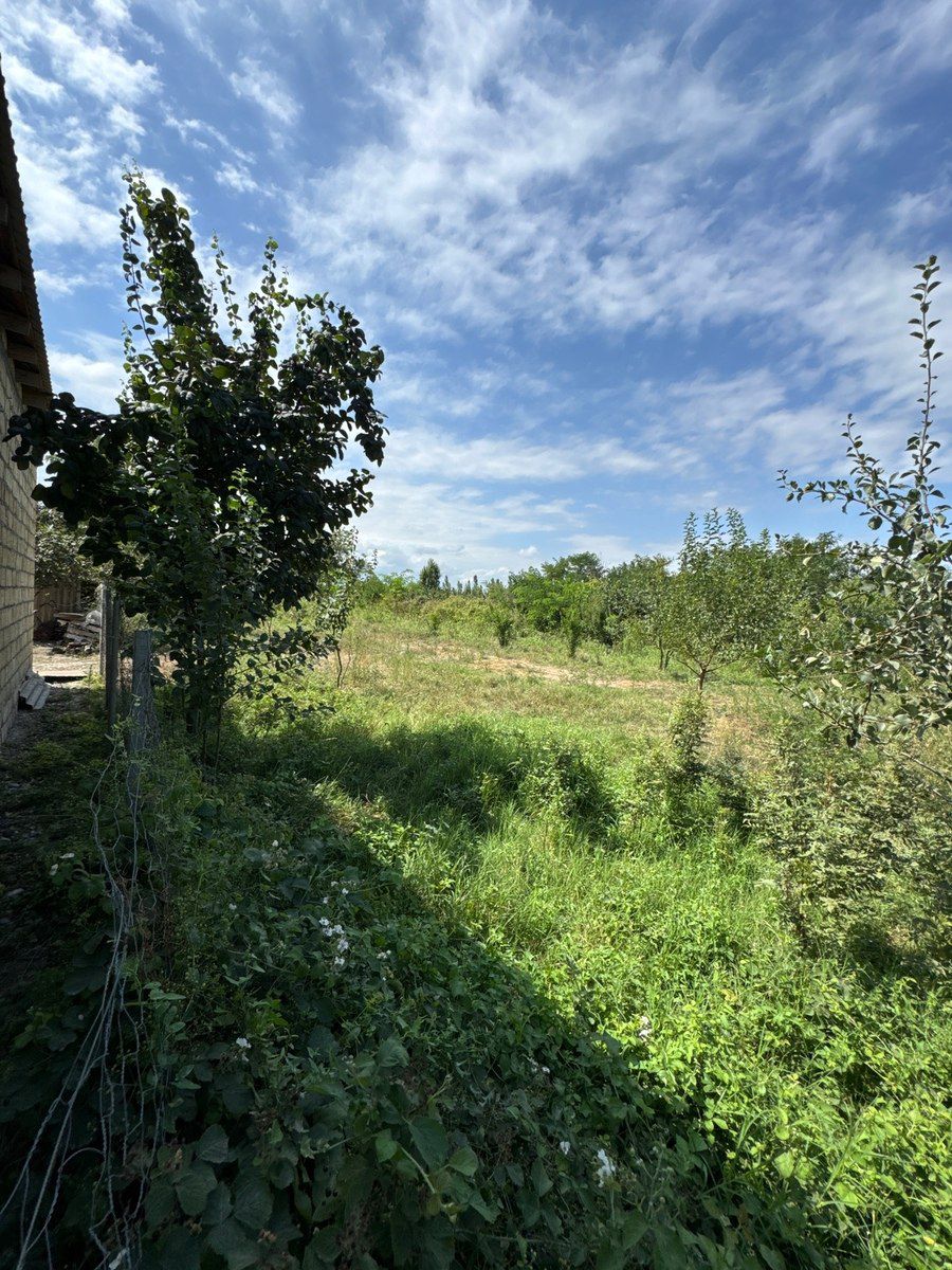 12 sot torpaq sahəsi, Qusar r — Torpaq, Qusar (3)