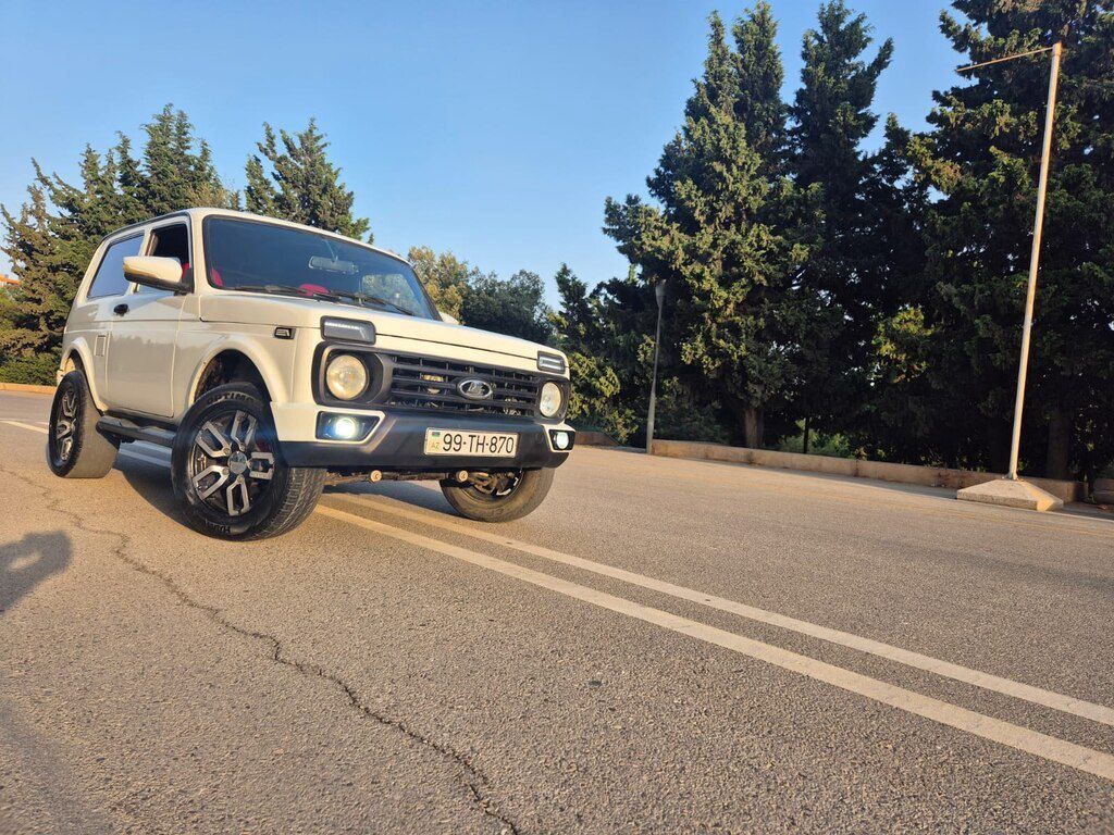 Lada (VAZ) Niva, 1.6 L, 2014 il, 587 664 km 99-TH-870 — Avtomobillər, Masallı (10)