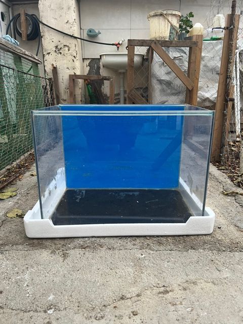 Akvarium — Bakı