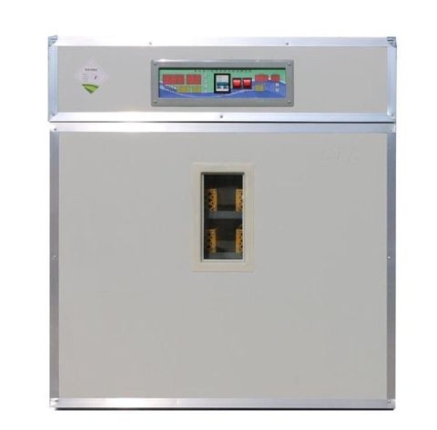 İnkubator — Bakı