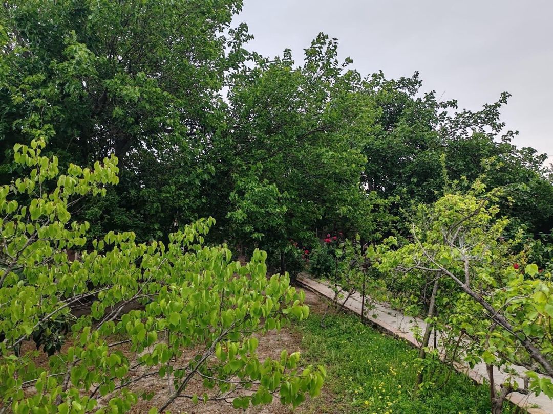 22 sot torpaq sahəsi, Novxanı qəs — Torpaq, Bakı (8)