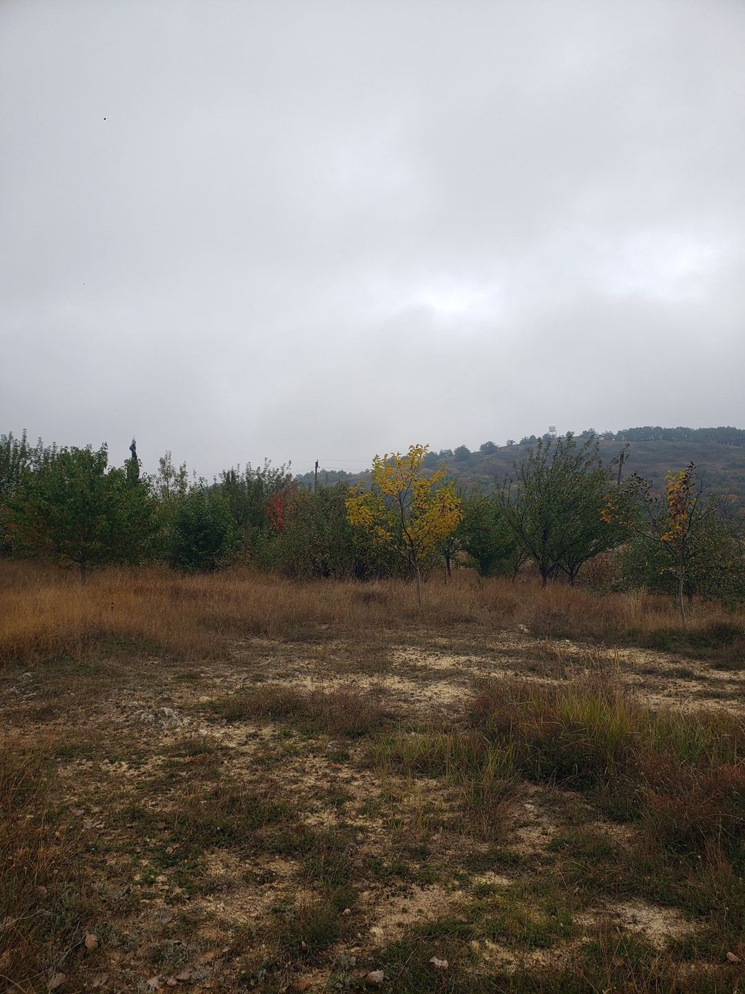 Satılır torpaq 30 sot — Torpaq, Şamaxı (7)