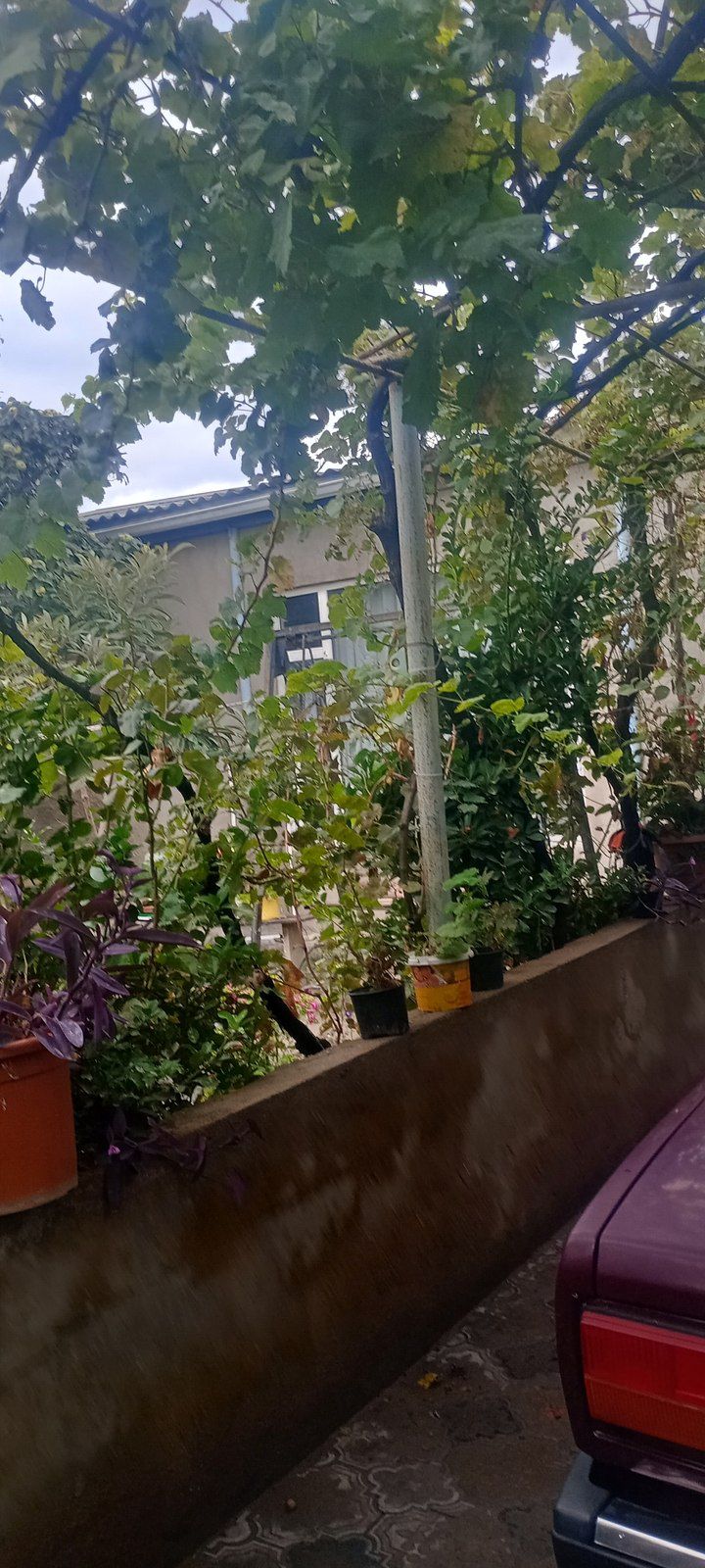 Satılır 3 otaqlı həyət evi/bağ evi 110 m² — Ev, villa, Bakı (5)