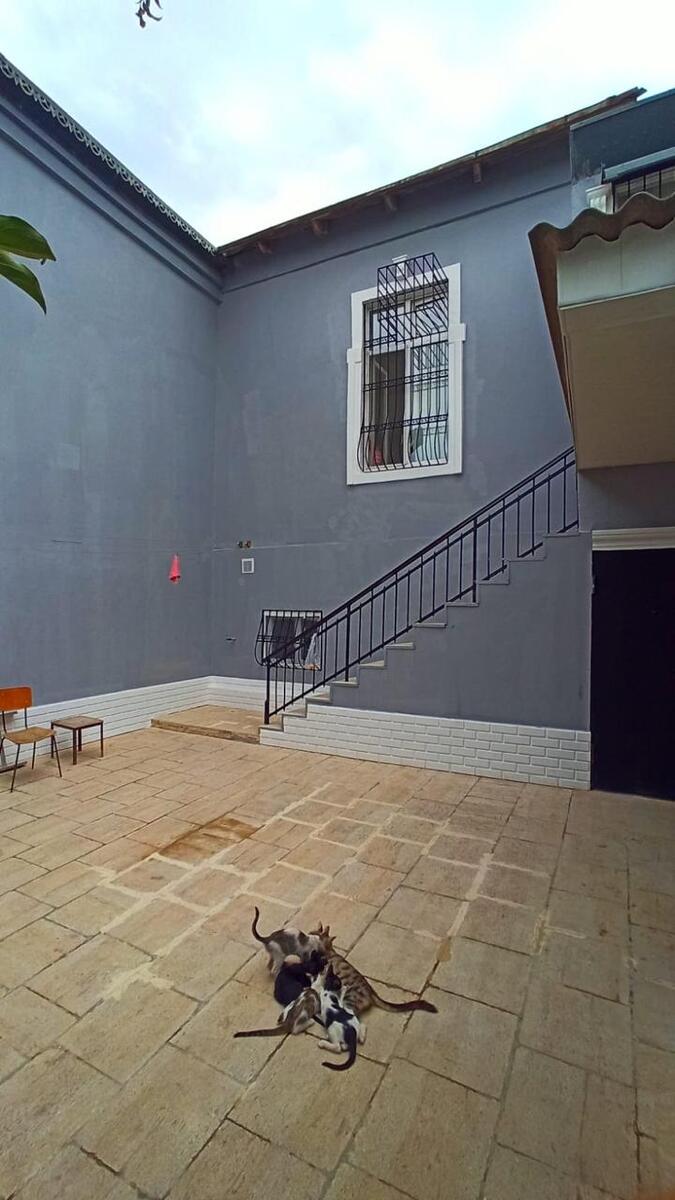 Satılır 6 otaqlı həyət evi/bağ evi 200 m² — Ev, villa, Bakı (11)