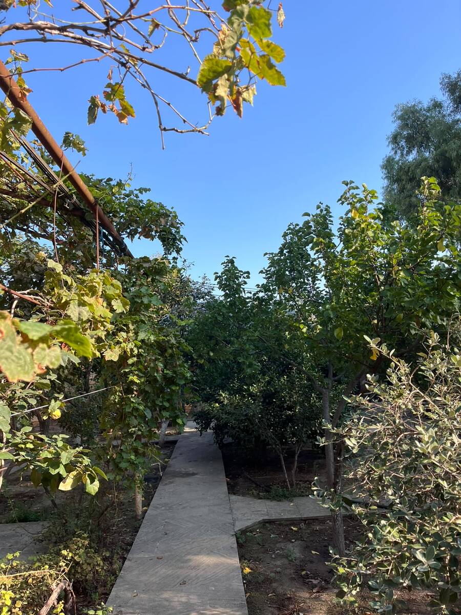 Satılır 6 otaqlı həyət evi/bağ evi 500 m² — Ev, villa, Bakı (6)
