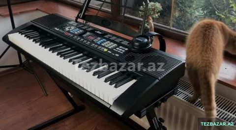 Elektro Piano, sintezator — Bakı