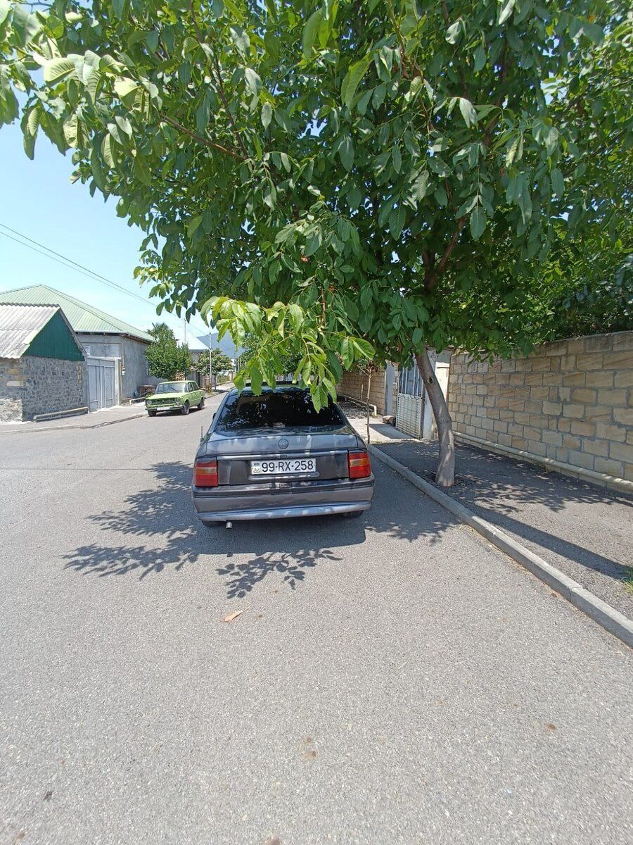 Opel Vectra, 1995 il 99-RX-258 — Avtomobillər, Qax (2)
